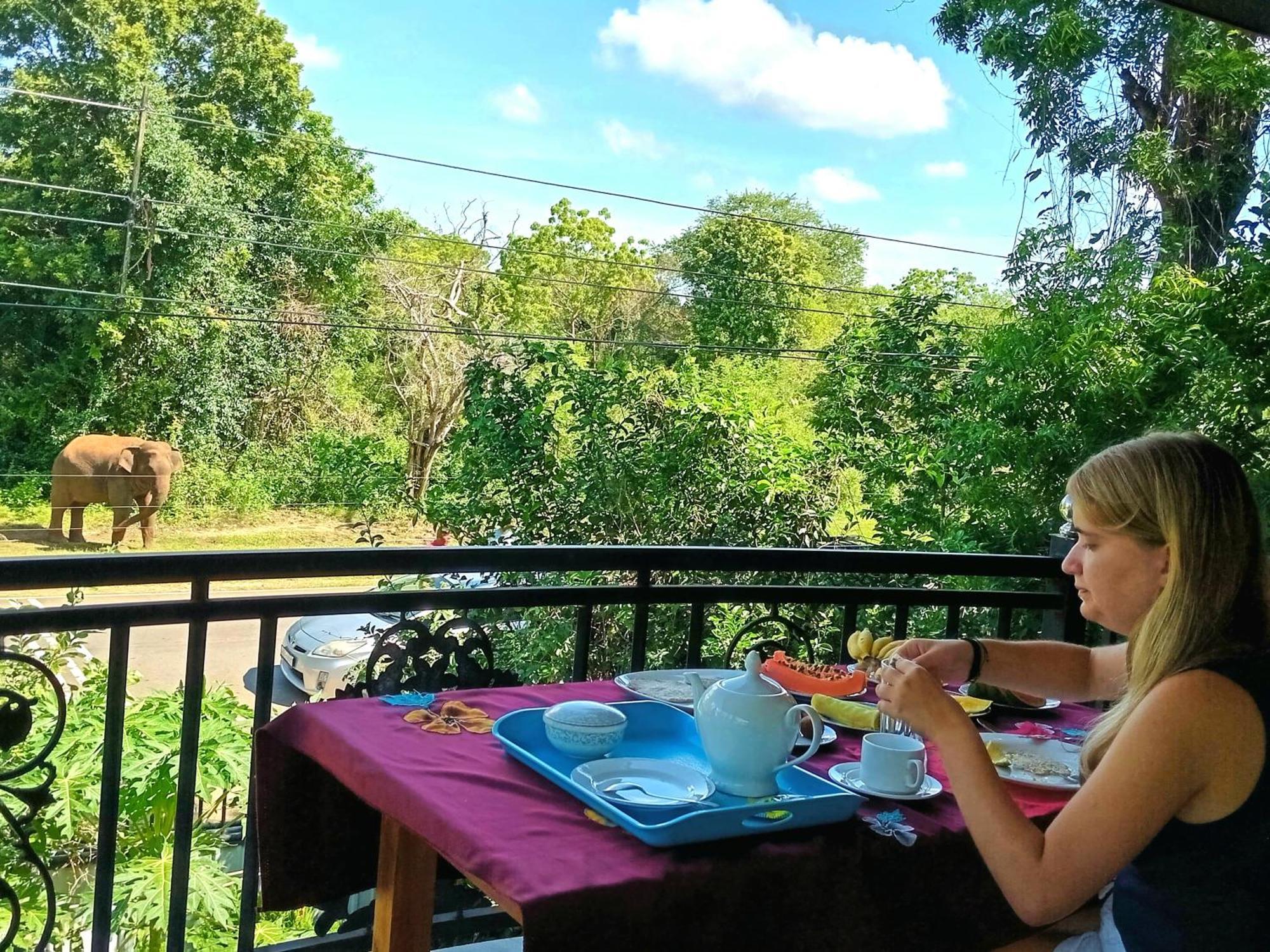Peacock Villa Resort Udawalawe Δωμάτιο φωτογραφία