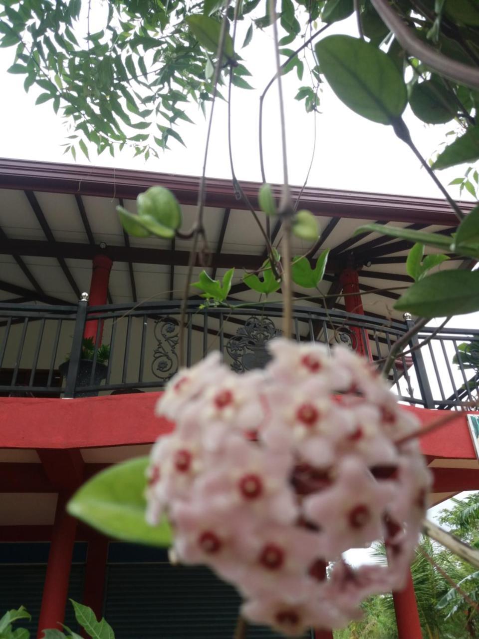 Peacock Villa Resort Udawalawe Εξωτερικό φωτογραφία